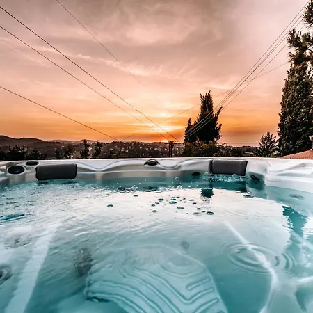 The Cypress & Vineyard I *