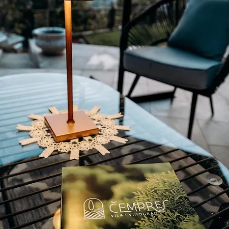 The Cypress & Vineyard I * Sremska Kamenica