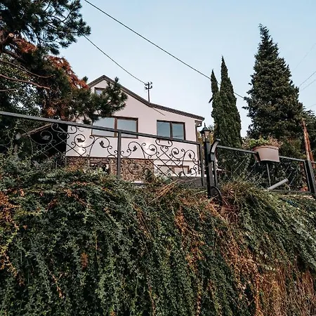 The Cypress & Vineyard I *