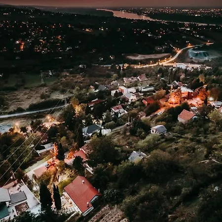 The Cypress & Vineyard I *