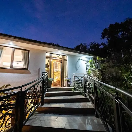 The Cypress & Vineyard I Sremska Kamenica