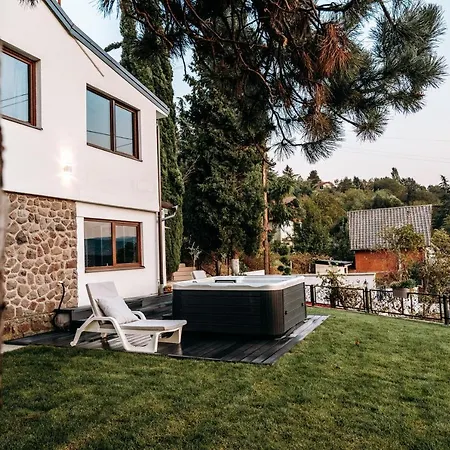 The Cypress & Vineyard I Sremska Kamenica