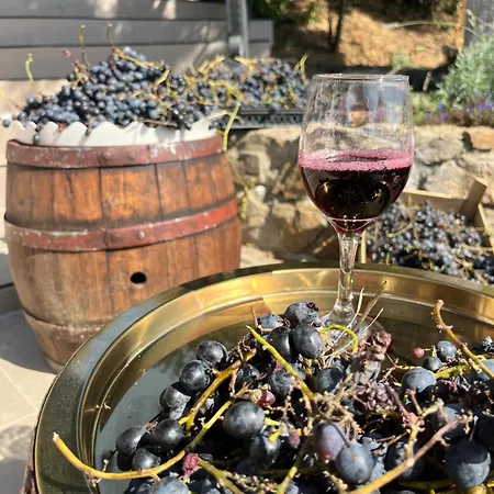 Villa The Cypress & Vineyard I