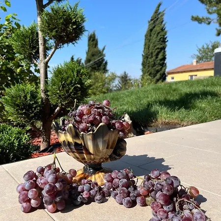 The Cypress & Vineyard I Villa Sremska Kamenica