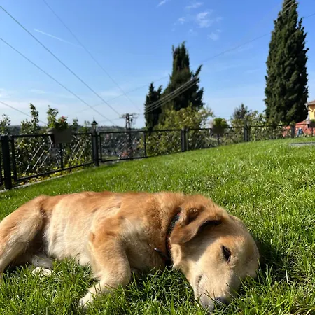 The Cypress & Vineyard I Villa *