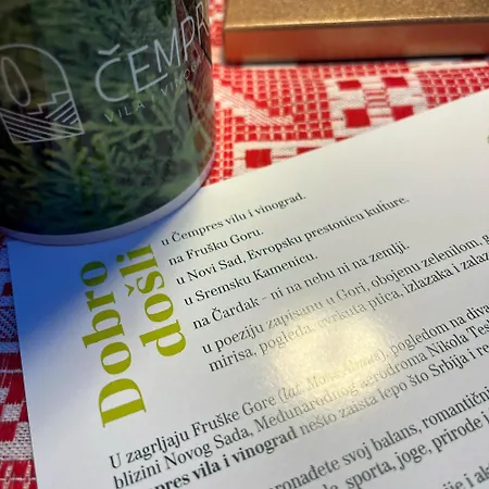 The Cypress & Vineyard I Sremska Kamenica